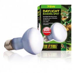 Exo terra ŻARÓWKA DZIENNA Daylight Basking Spot R20/75W do Terrarium