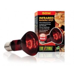 Exo Terra ŻARÓWKA GRZEWCZA Infrared Basking Spot R20/50W do Terrarium