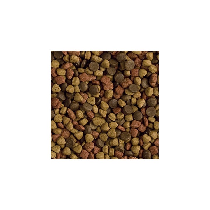 Tropifit PREMIUM Karma Sucha dla FRETKI 400g