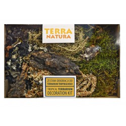 Terra Natura ZESTAW DO DEKORACJI Terrarium Tropikalnego