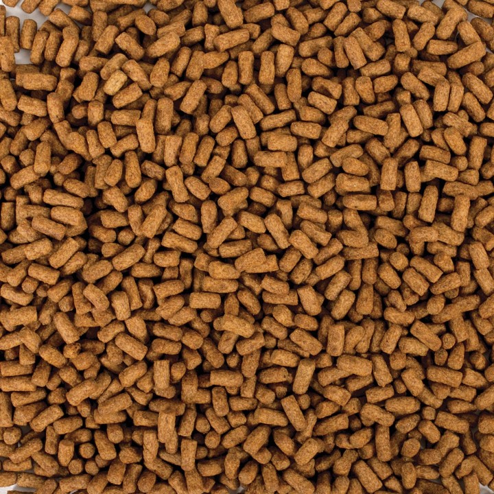 Tropical Biorept Supreme Young POKARM GRANULAT dla ŻÓŁWI WODNO-LĄDOWYCH 250ml/90g