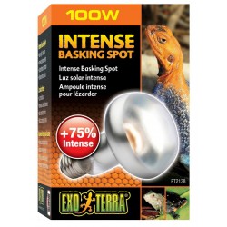 Exo Terra ŻARÓWKA INTENSE Basking Spot 100W do Terrarium