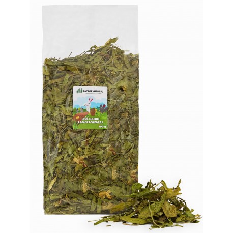 Factoryherbs Liście babki lancetowatej dla Gryzoni 300g