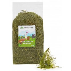 Factoryherbs ziele skrzypu polnego dla Gryzoni