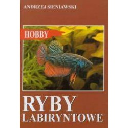 Książka Hobby Ryby Labiryntowe