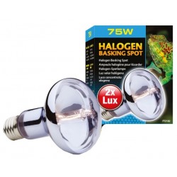 Exo Terra Żarówka Halogenowa Basking Spot 75W do Terrarium