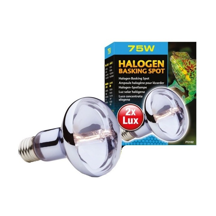 Exo Terra Żarówka Halogenowa Basking Spot 75W do Terrarium