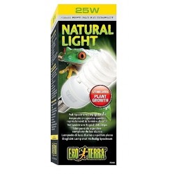 ŻARÓWKA Natural Light 25W do Terrarium