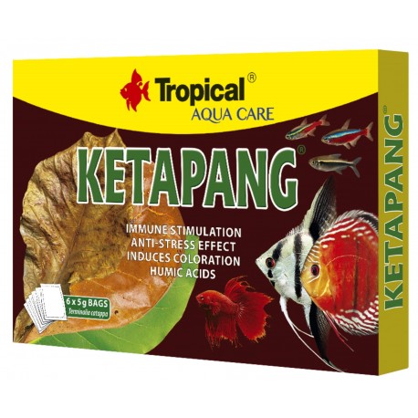 Tropical KETAPANG 6 sztuk Liście do Akwarium