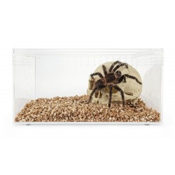 Happet TERRARIUM AKRYLOWE 30x20x15