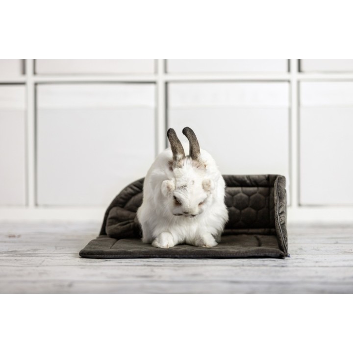 LEGOWISKO NAROŻNE Pet Friendly M dla Gryzoni
