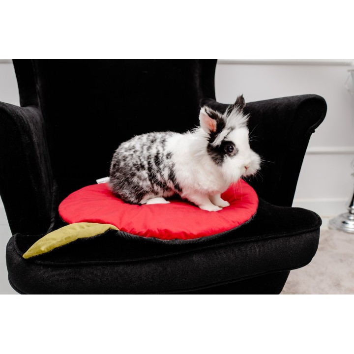 MM MATA MINKY Aksamitna JABŁKO dla Gryzoni