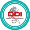 DDI